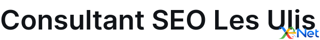 Consultant SEO Les Ulis